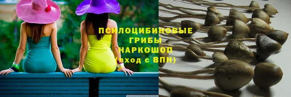 метамфетамин Ельня