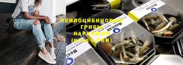 мет Заводоуковск